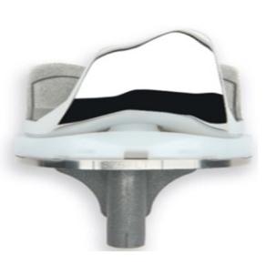 Traumatology / Orthopedics